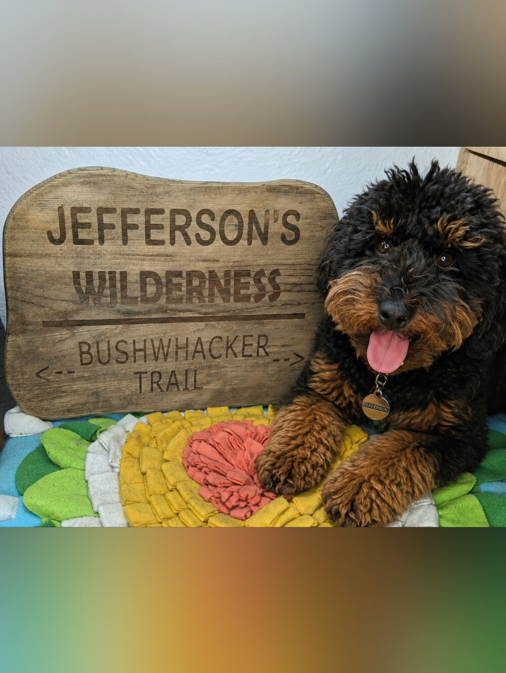 ❤️❤️❤️SALE!!!❤️❤️❤️